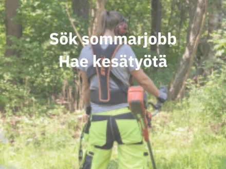 Sok sommarjobb Hae kesatyota