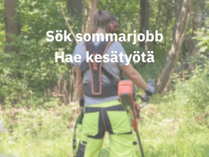 Sok sommarjobb Hae kesatyota