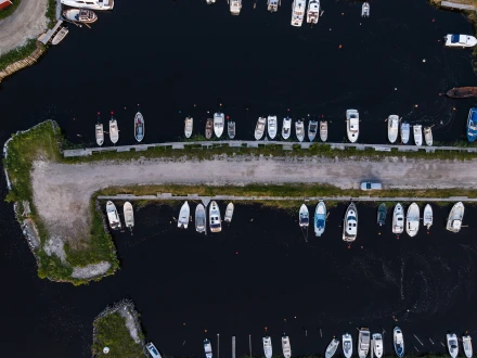 Aminne 11 Photo Christoffer Bjorklund