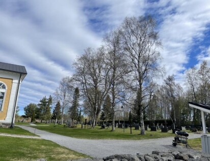 Gravplats med gravstena i rader och björkar utan löv