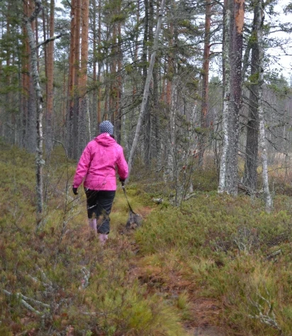 Vandring i Kajane